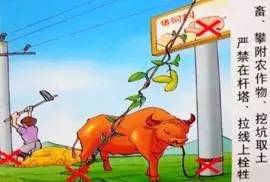 图解用电安全知识6.jpg 图解用电安全知识6.jpg